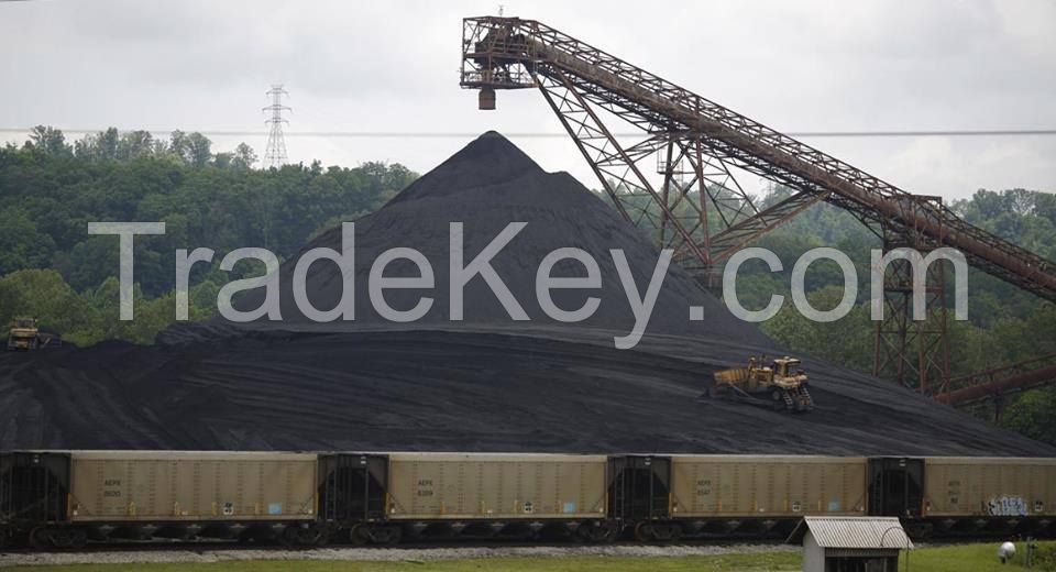 supply steam coal