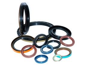 Viton Oil Seal