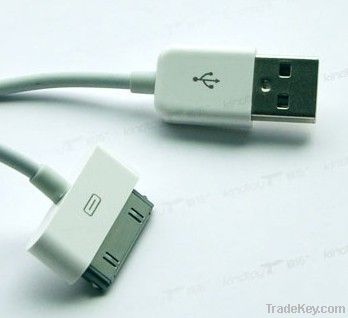 iPhone/iPad charging and data cable