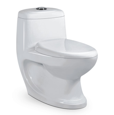 Washdown one-piece toilet