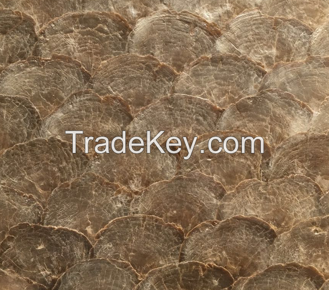 natural gold capiz mosaic tiles