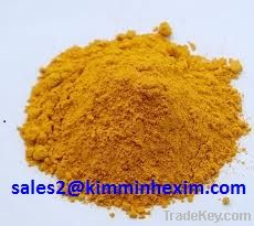 turmeric powder