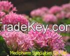 Rhodiola Rosea Extract