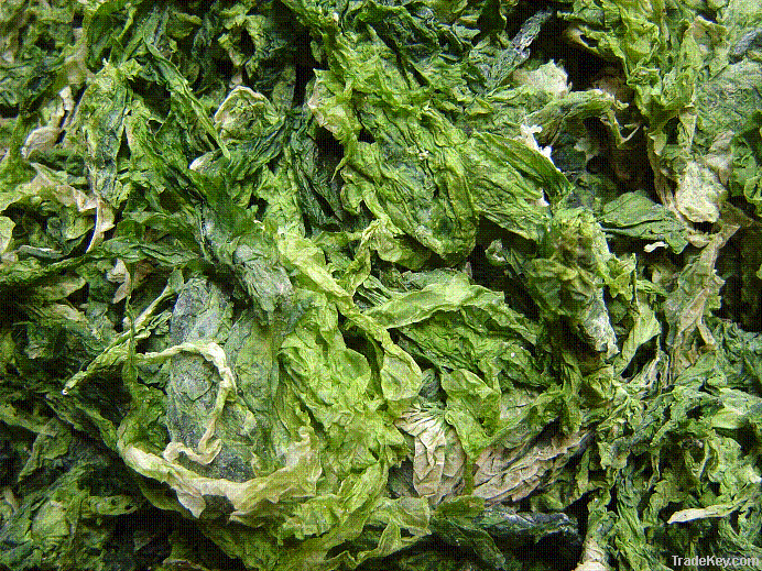 Seaweed