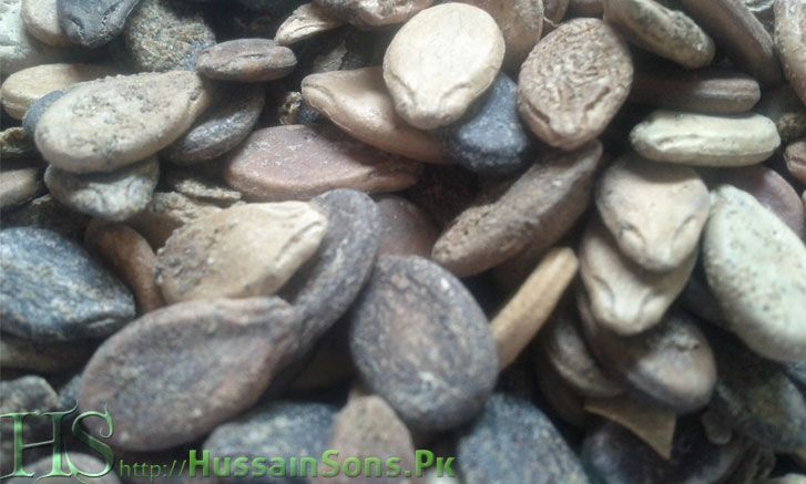 Watermelon Seeds Pakistan Origin