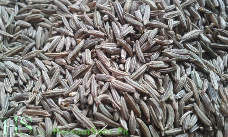 Cumin Seeds - Pakistan Origin