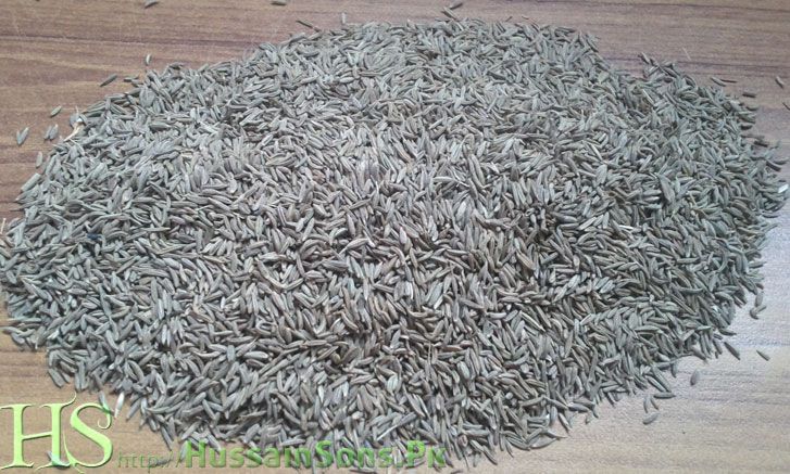 Cumin Seeds - Pakistan Origin