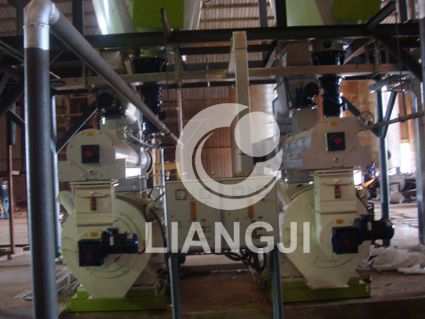 Ring die Sawdust Pellet Mill Production Line