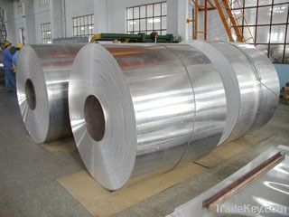 aluminum coil/roll