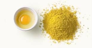 whole egg powder 