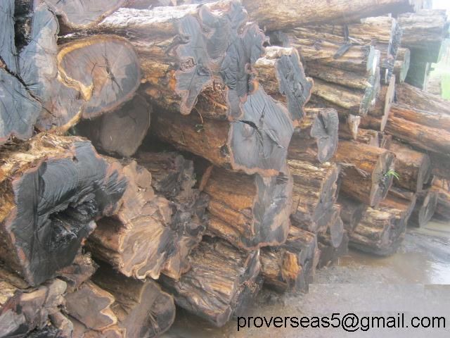 African Blackwood logs, African Ebony