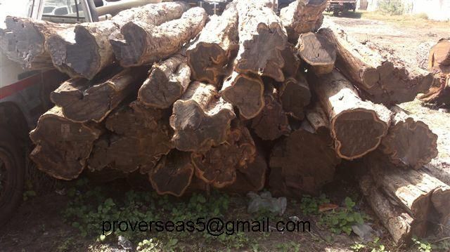 African Blackwood logs, African Ebony