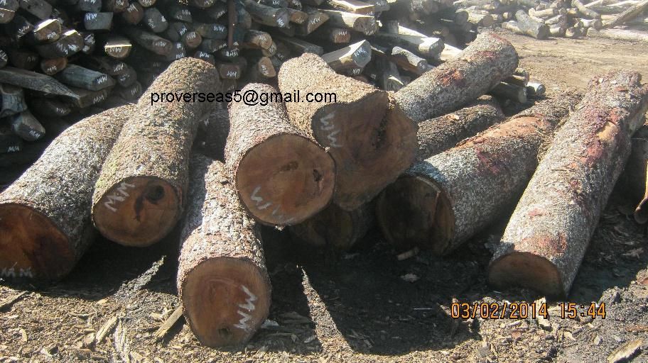 Mukarala Wood (Red Teak)