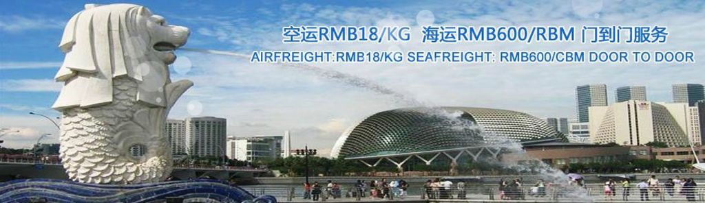 Air and sea shipping service to singapore door to door express