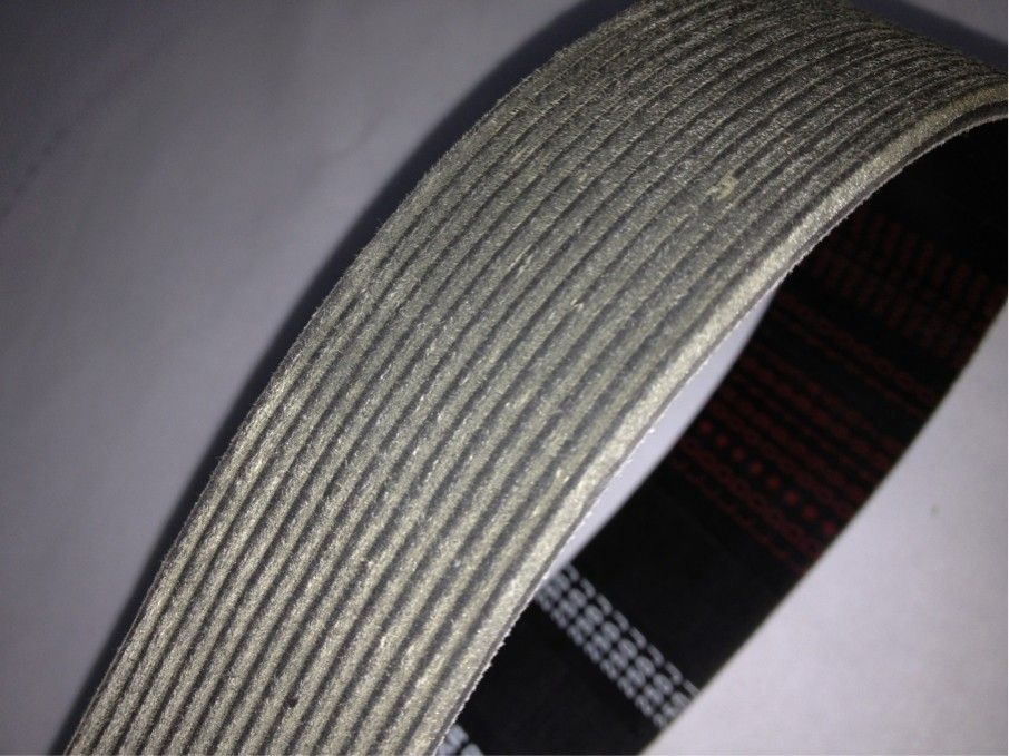 PJ Ribbed Belt