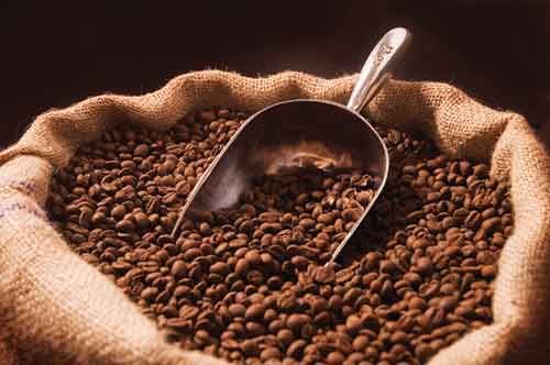 Attraction of strategic partner for operating coffee producing company
