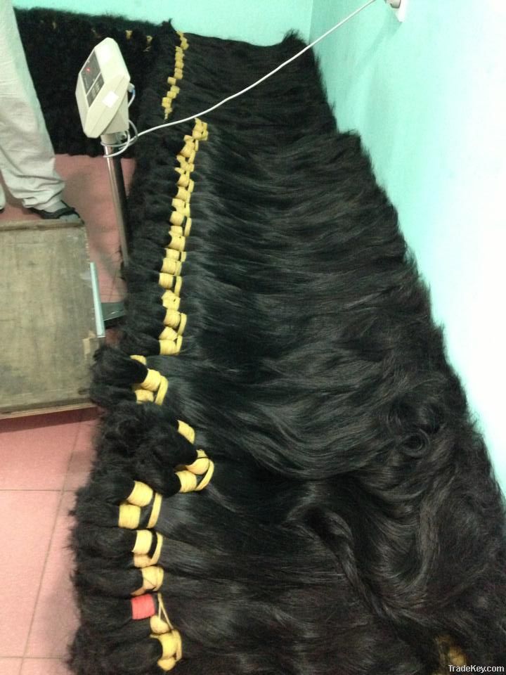 Human hair , virgin remy hair from Vietnam