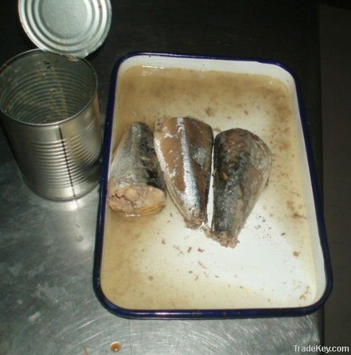 South American taste, fresh and big fish salted mackerel canned