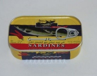 Brine Salt Fish Sardines in factory price