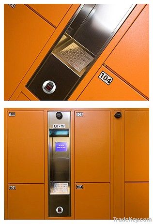 Fingerprint electronic locker