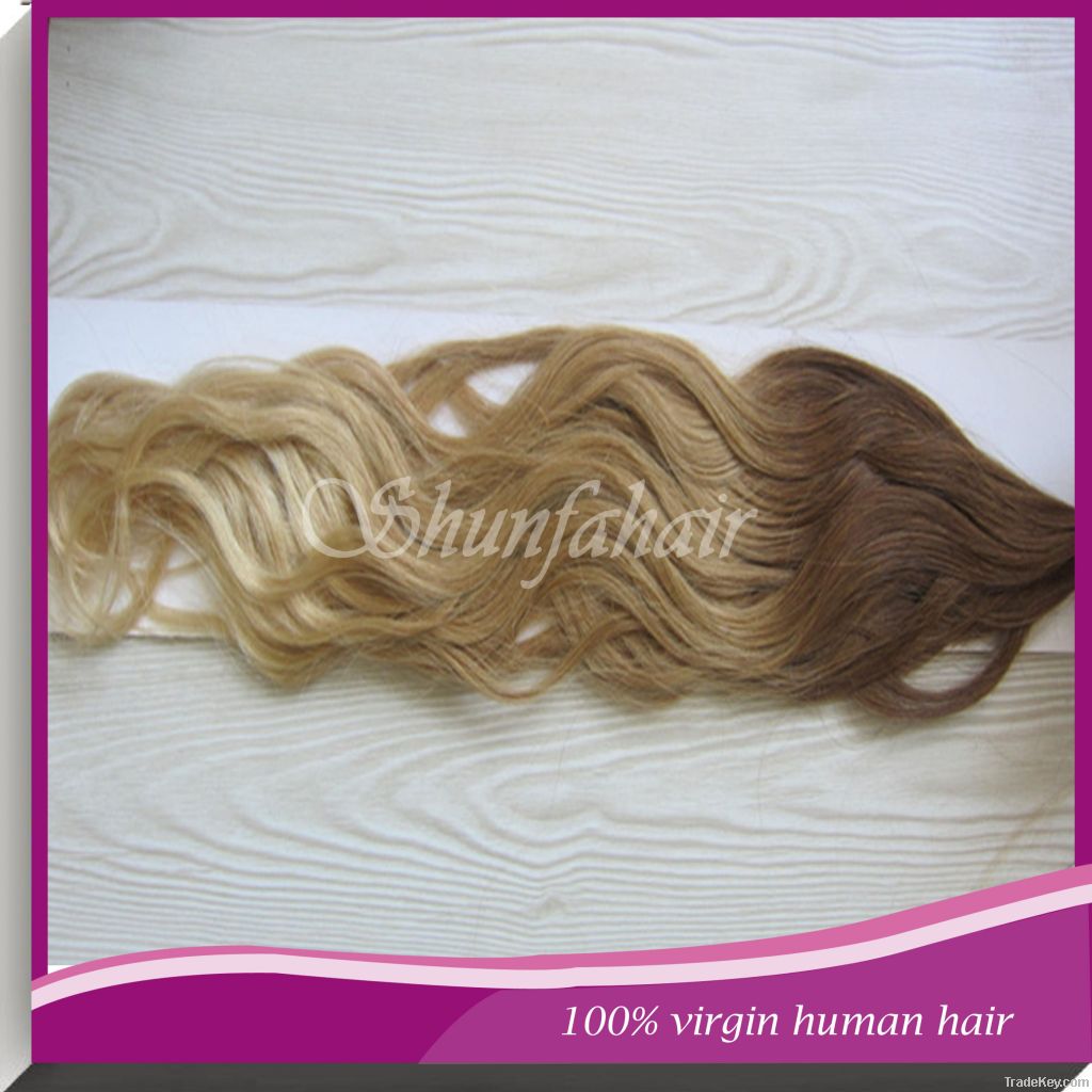weft virgin brazilian hair