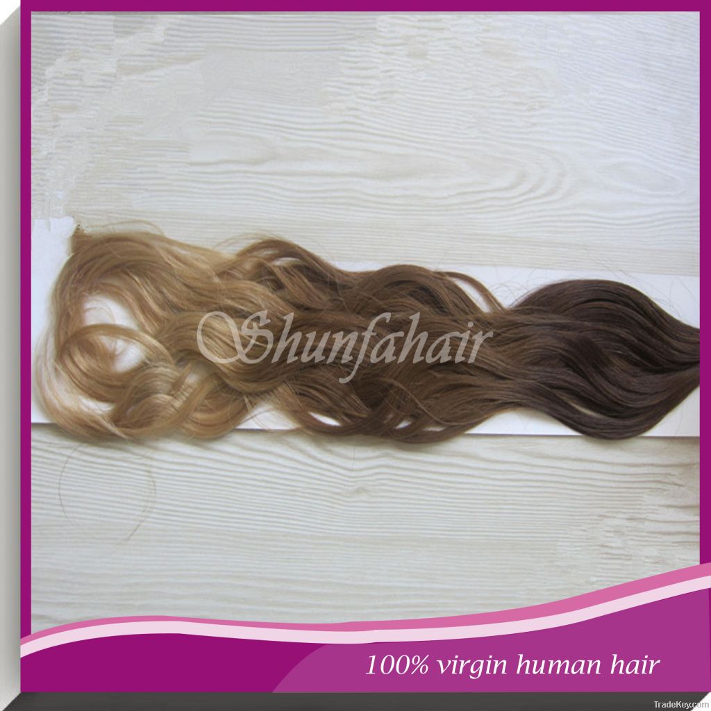 weft virgin brazilian hair