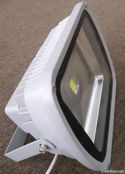 50W COB LED Outdoor Floodlight