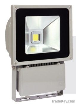 50W COB LED Outdoor Floodlight