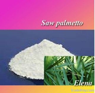 Saw Palmetto P.E.