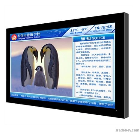 55 inch LCD multi-media player / video payer