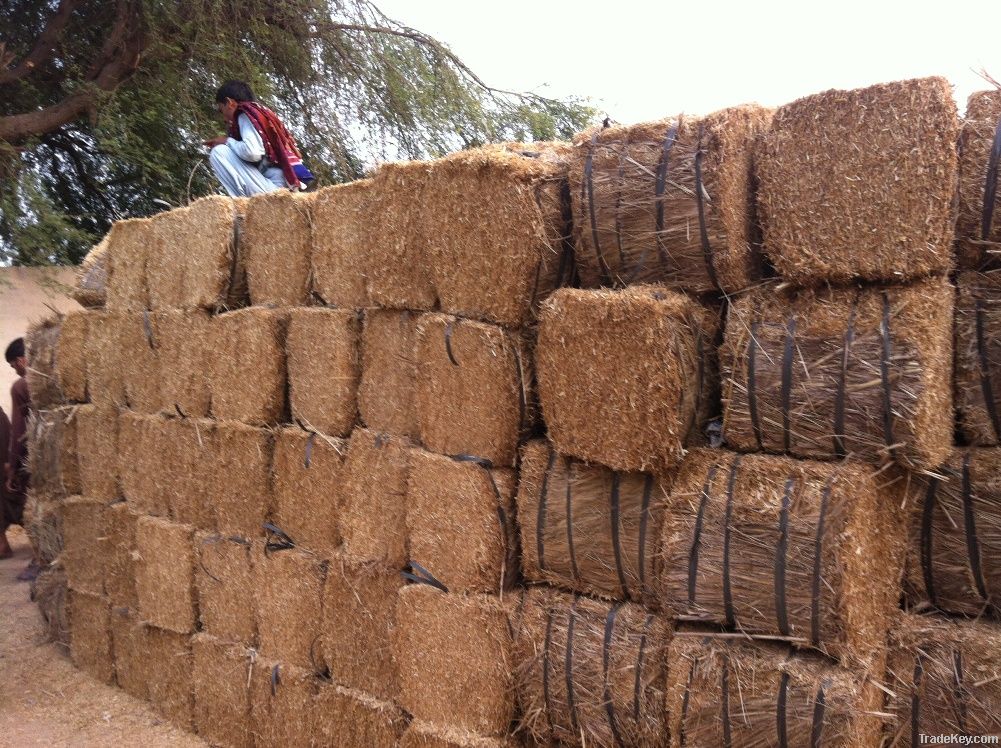 Wheat straw