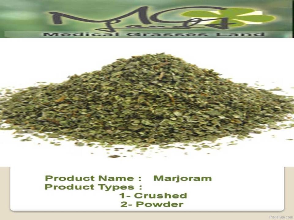 Marjoram