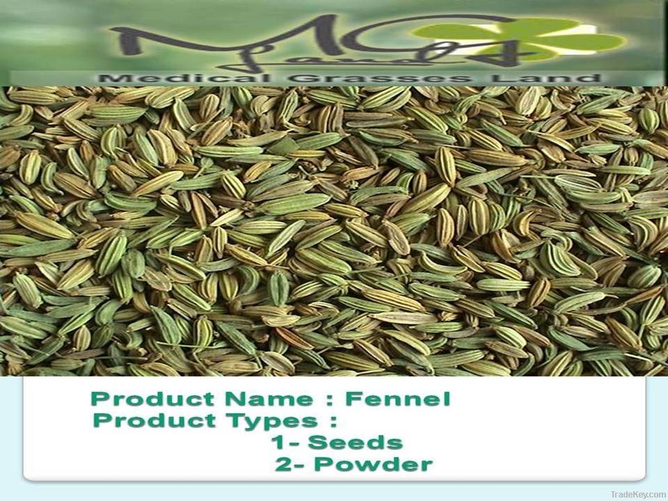 Fennel seeds