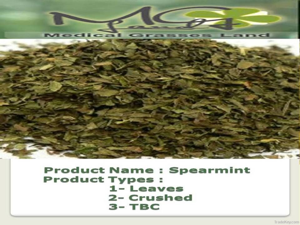 Dried Spearmint