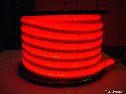 220V Led neon flex