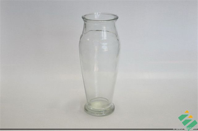 Glass Vase