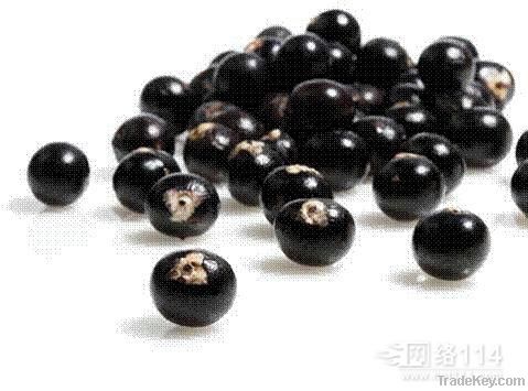 Acai berries extract powder Anthocyanins by HPLC