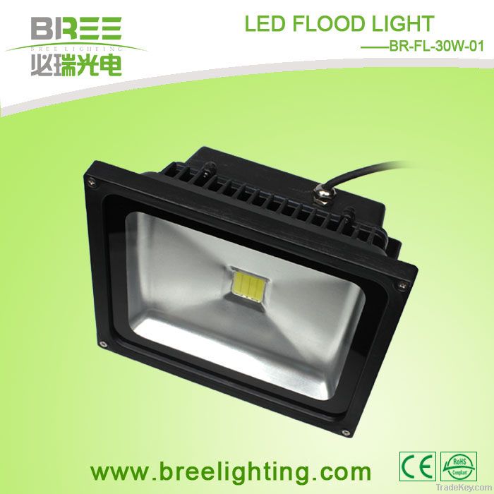 30W LED flood light