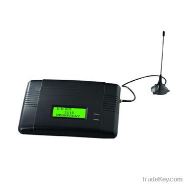 GSM fixed wireless terminals