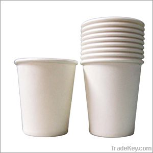 Paper Cup