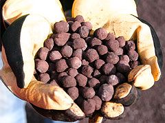 Iron ore pellets