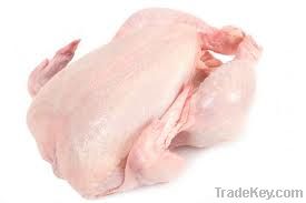 Export Chicken Meat | Chicken Meat Suppliers | Poultry Meat Exporters | Chicken Pieces Traders | Processed Chicken Meat Buyers | Frozen Poultry Meat Wholesalers | Halal Chicken | Low Price Freeze Chicken Wings | Best Buy Chicken Parts | Buy Chicken Meat |