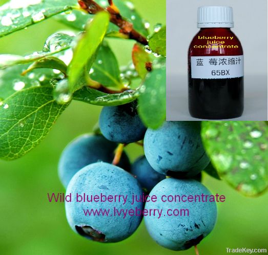 wild blueberry juice concentrate
