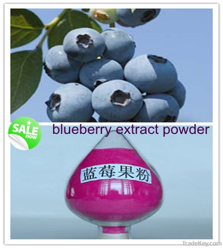 blueberry juice powder