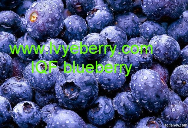 IQF wild blueberry