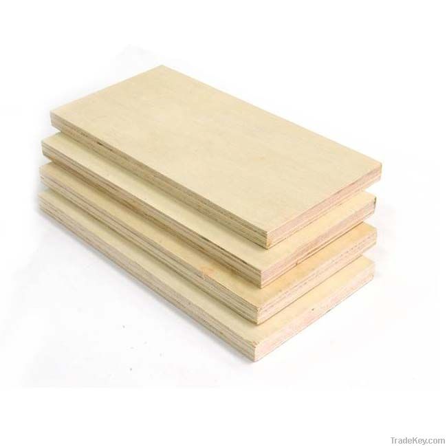 Poplar plywood