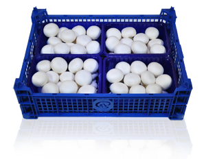 Mushrooms Box of tack Â± 4 x 500 g