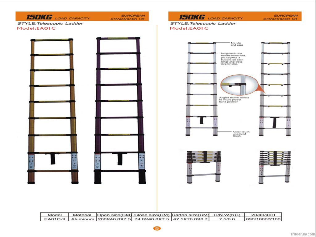 telescopic ladder