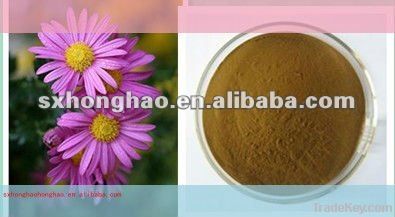 Pure Natural 4% polyphenols Echinacea herb P.E.