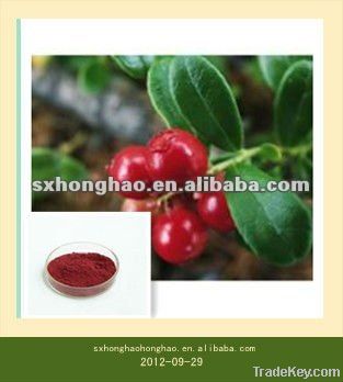 10%-25%anthocianidine Cranberry P.E.